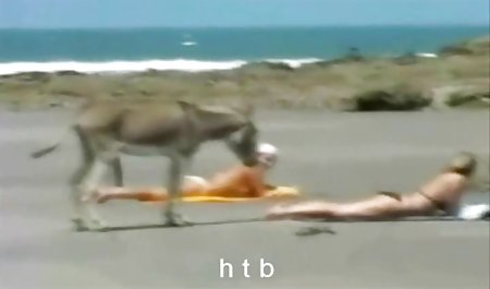آماتور Busty دانلود فیلم های سکسی رایگان آنا با بچه ها و گربه هایش بازی می کند
